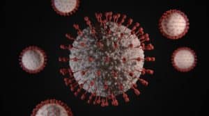 A PCR test mycoplasma covid and Ureaplasma.